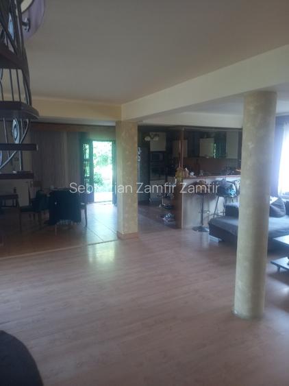 Vila vanzare proprietar - 4