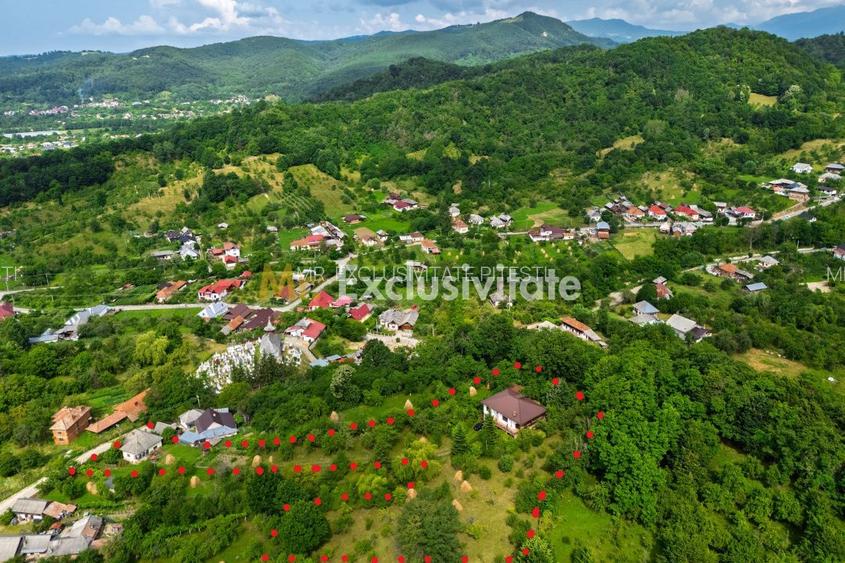 Casa moderna si casa bunicii + 6300 mp teren,Oaza autentica in Corbi Arges- - 2