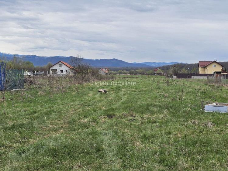 Teren intravilan de 500 mp in Calea Cisnădiei, Sibiu - 4