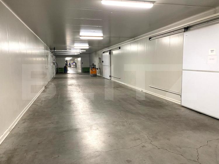 Depozit Frigorific și Hală Producție, Oradea, 6200mp