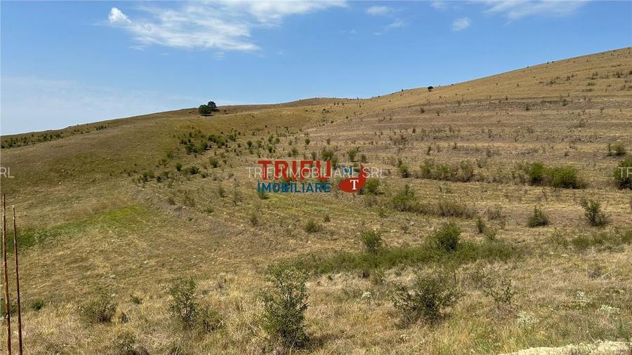 Teren pentru relaxare și agricultură în Barabant, Alba Iulia – Ex - 21