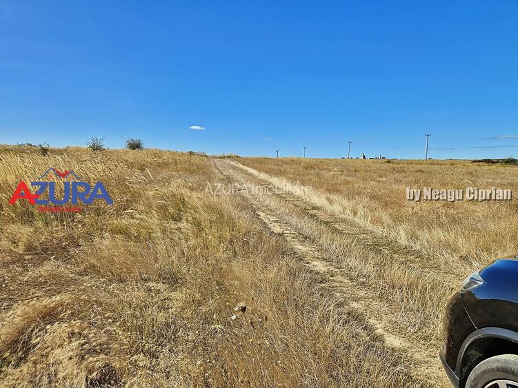 AZURA Imobiliare - Oportunitate rară de investiție în Bradu - 5