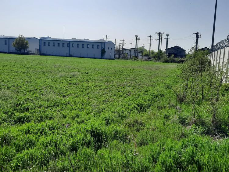FARA COMISIOANE in Joita aproape de drumul asfaltat teren de 4600mp merita vazut