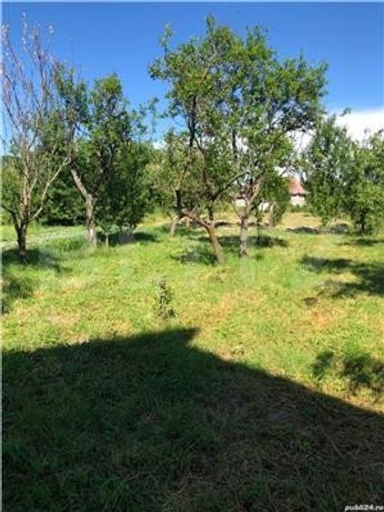Casă de vânzare, cu 3 camere, 100 m2, teren 5 arii, zona Ciceu-Corabia