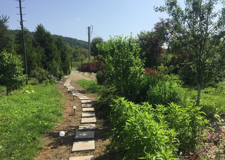 Teren intravilan, 4500 mp, casa de vacanta, in Baciu, zona Sun Garden