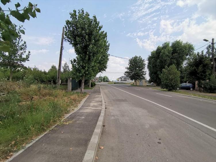 Inchiriere teren intravilan Cornetu / zona str. Trandafirilor, 4.500 mp, D: 31 m - 6