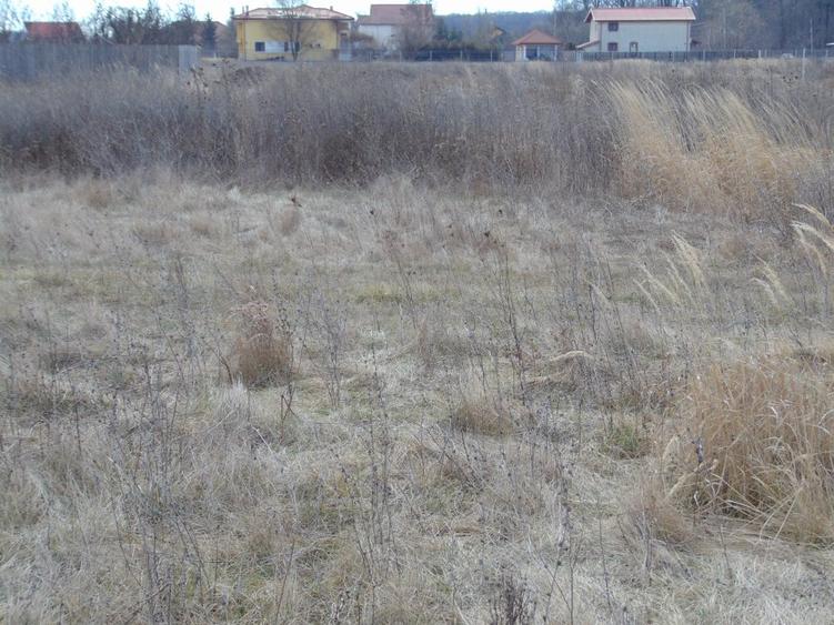 FARA COMISIOANE in spate la Carrefour Militari teren intravilan 16000mp