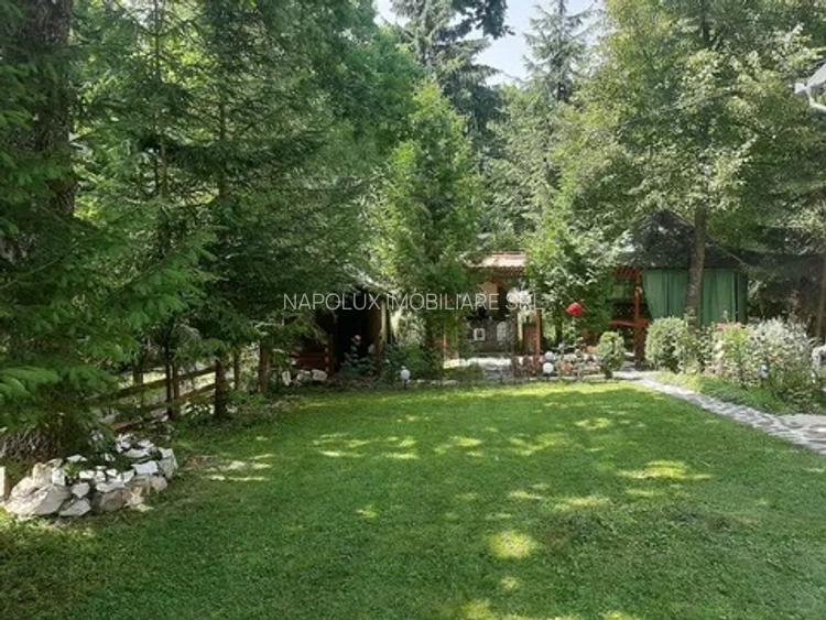 Casă de vânzare – Zona Baraj Zetea/Eladó nyaraló – Zetelaki víztározó közelében - 4