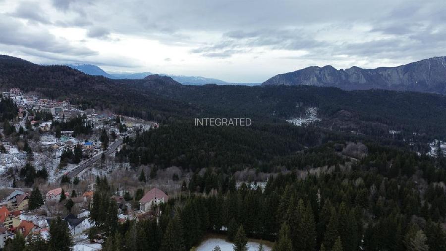 Teren intravilan 3.500 mp Cioplea ~ Predeal - 6