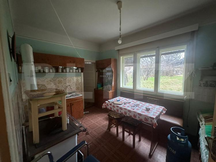 Casă cu teren generos de 6000 mp în Viile Satu Mare – zonă liniștită