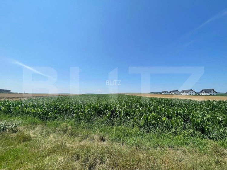 Teren Intravilan, 10300 mp, zona Mitocului - 3