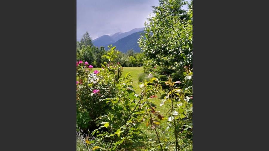 House for sale, 5 Rooms, 180 sqm, Valea Dejani