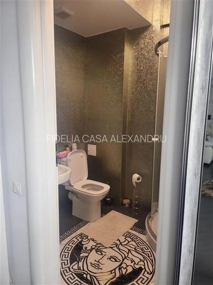 Apartament 3 camere  de vanzare  Lunca Cetatuii, - 14