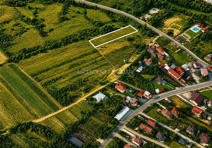 Loc de casa linistit in zona rezidentiala Targoviste, Dambovita - 4