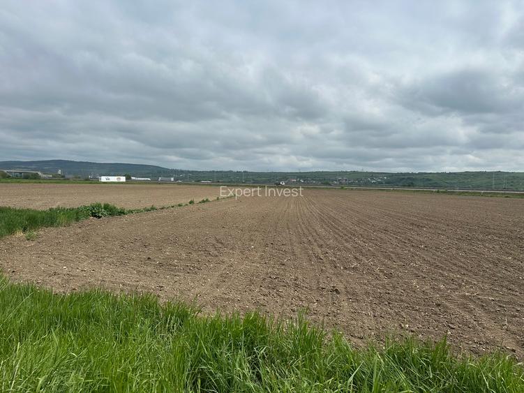 Teren extravilan 18.500 mp in Selimbar / jud. Sibiu - 3