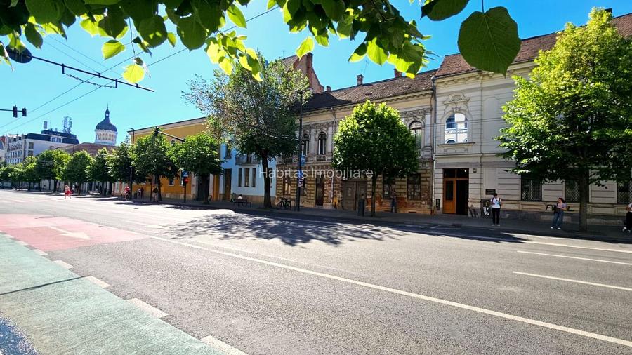 0 %comision Apartament cochet, etajul 1, sud, cladire istorica Central - 19