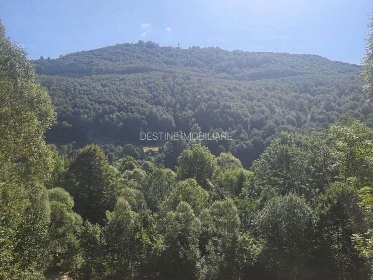 Teren Valea Doftanei,  zona Pe Vale - Baraj Paltinu - 6