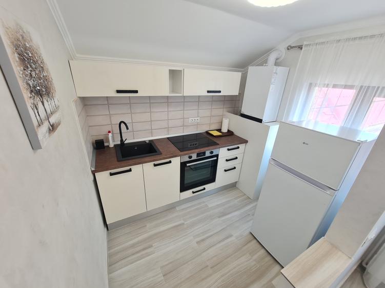 Apartament Modern cu 2 camere in Vila - Curte - Centrala pe Gaz - Termen lung