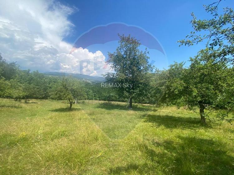 Teren intravilan 12.458 mp în Văleni (Meteș) - 2