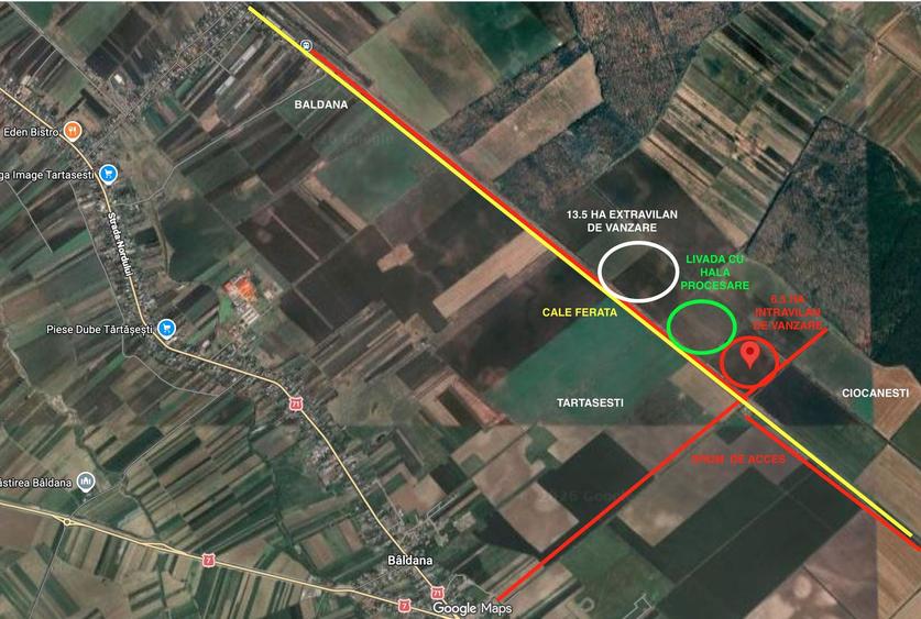 Teren intravilan arabil | Tartasesti | Baldana | Db 6,6 ha