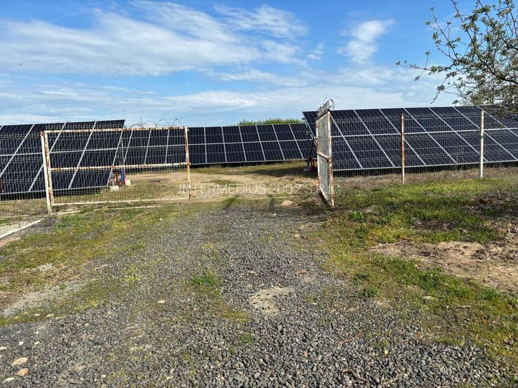 Investiție Timișoara: Hală ISU 1900mp + Parc Solar 400kW + Chiriaș - 7