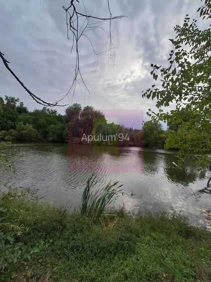 Cea mai frumoasă casă din zona Pipera - Băneasa - 45