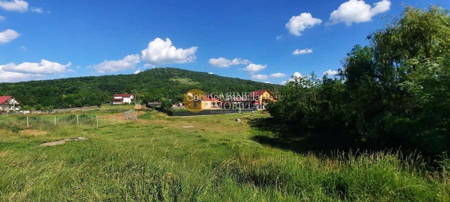🏡 CASA  + Teren Intravilan 3000 mp , Totoești,Podu Iloaiei - 37.000 Euro 💰 - 2