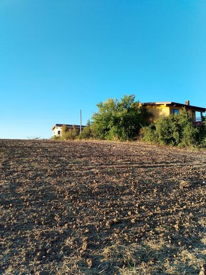 Ciolpani, spre Izvorani - COR, vanzare teren 5000mp.