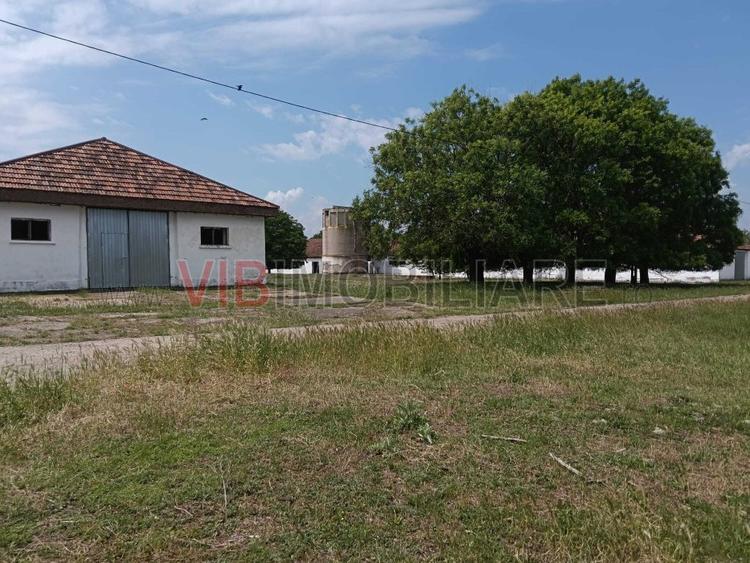 Ferma complet utilată – 30 ha teren comasat cu 11.500mp grajduri renovate Timiș