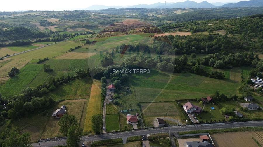Spațiu Industrial de Vânzare | Dumbravita, Maramureș 120 mp 3,570 mp - 8