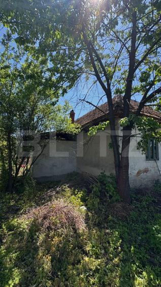Casa cu teren 1100 mp și hala în curte, sat Cârbești