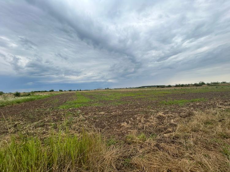 Vanzare Teren Extravilan 20.113 mp Otopeni Odai deschidere la 2 strazi,