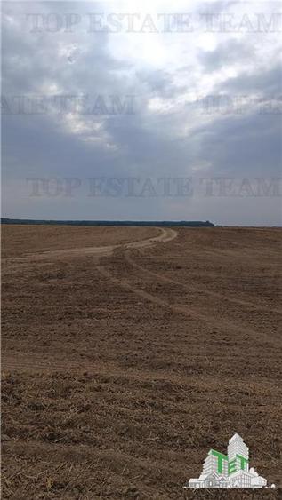Oferim spre vanzare 6 loturi de teren extravilan (agricol) in Petrachioaia ILFOV