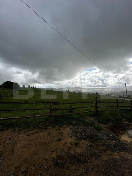 Teren de vânzare intravilan în Poiana Stampei, 2 hectare