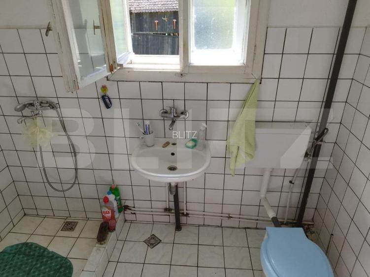 Casa pitoreasca în Viile Tecii cu o grădina de 26 de arii - 4