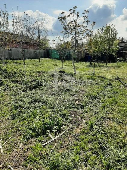 Teren intravilan 2562mp Loc 23 August | Ideal locuiță sau casă vacanță - 8