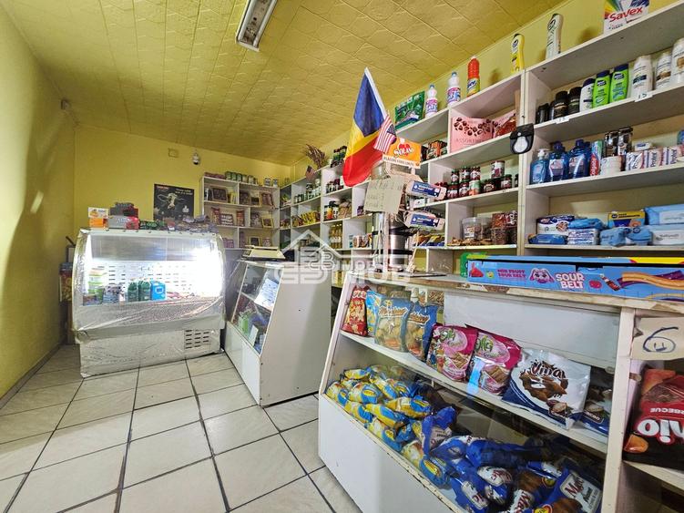 Spațiu, liniște și posibilități multiple într-o singură proprietate!
