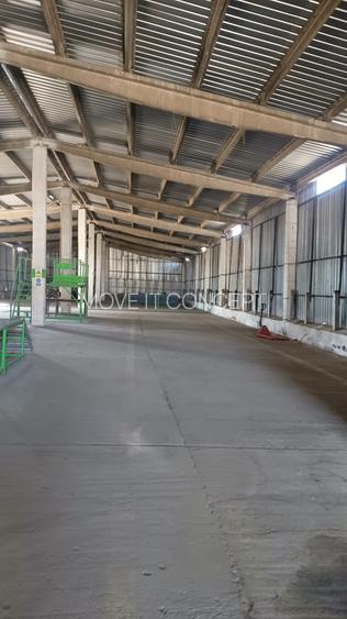 Spatiu industrial -  depozitare hale Baza Receptie Ghimpati Giurgiu - 14