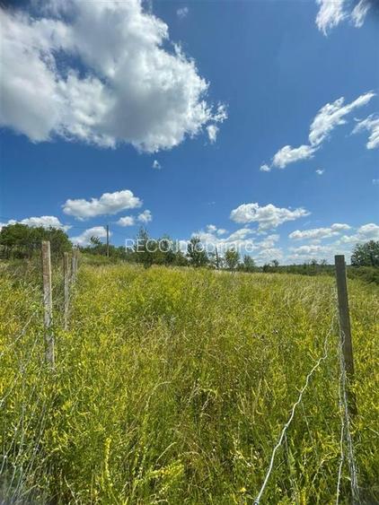 RECO Teren Extravilan Podgoria Oradea - 3