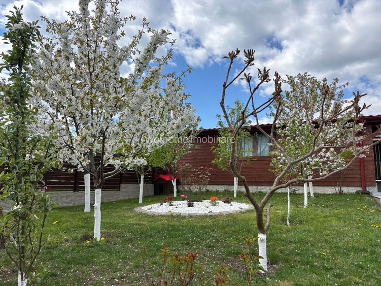 Casa 5 camere pretabila pentru locuit si sediu firma - C. Arhitectilor - 22