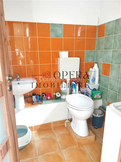 Proprietate unica de vanzare! Casa tip duplex in centrul orasului Iasi - 10