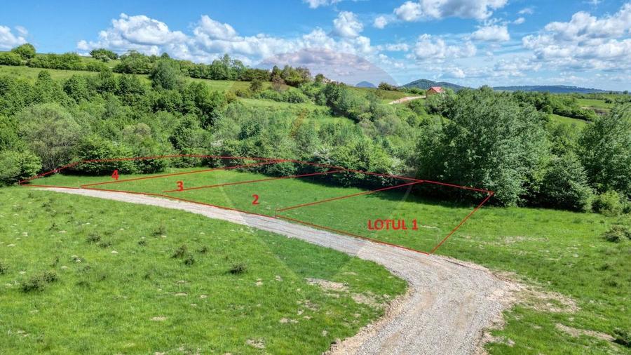 Teren 500mp Tohanita (intre castelul Bran si Zarnesti), padure + parau