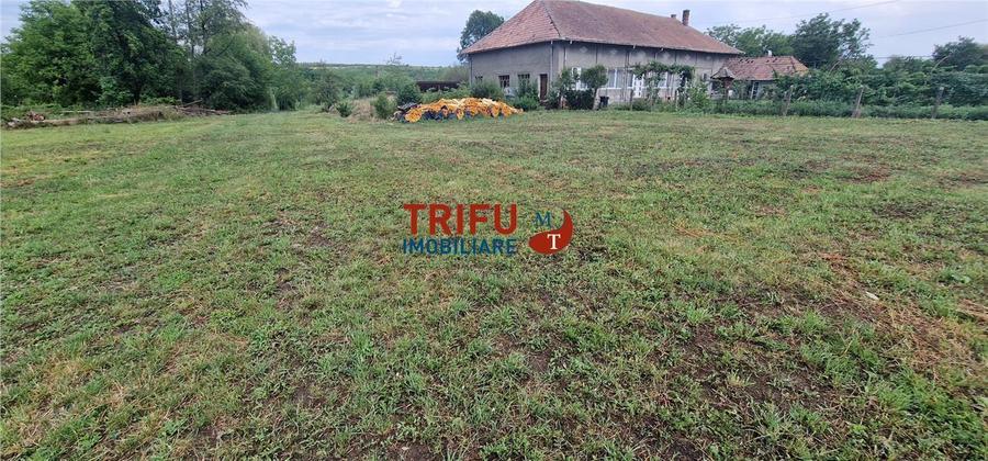 Oportunitate de Investiție: Teren 24000mp Intravilan Construibil în Ga
