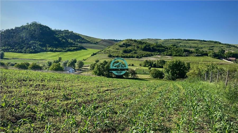 Vand teren intravilan in Sanisor cu suprafata de 4946 mp