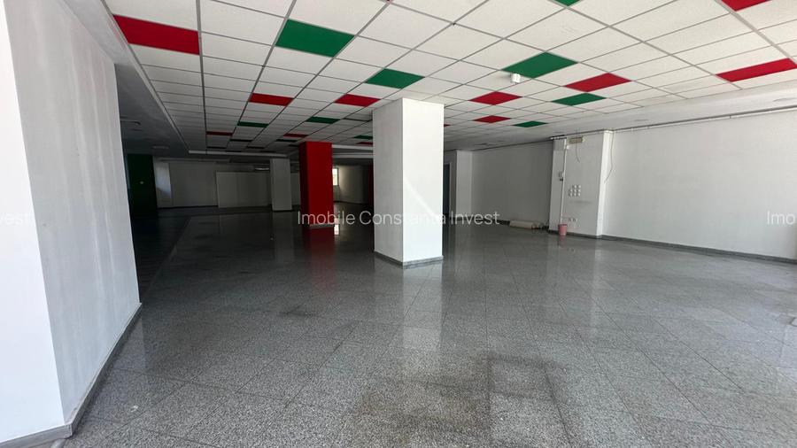 Spatiu comercial Parter +Subsol stradal - 12