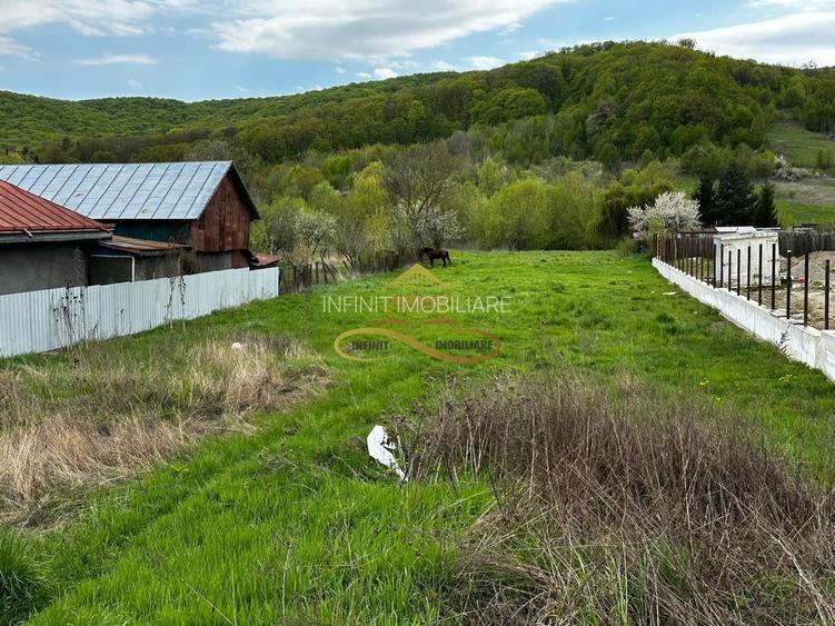 Teren intravilan de vanzare 2900 mp Luncani Bacau - 6