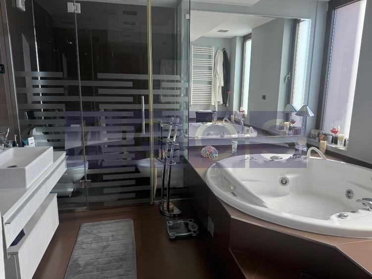VANZARE PENTHOUSE SPECTACULOS OTOPENI |  355 MP |
