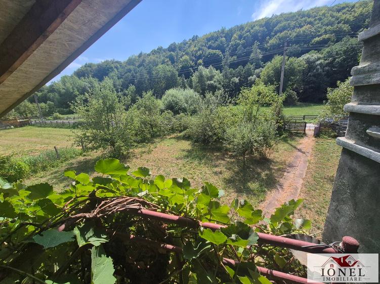 Vanzare casa in Almasu Mare