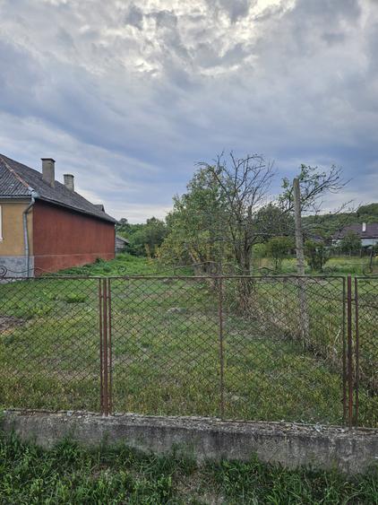 Casă de renovat + 2.900 mp teren, front 38 m – potențial construcție, Ilisua