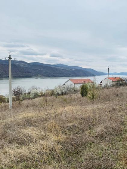 Teren Construcții intravilan de 6042 mp, în Berzasca